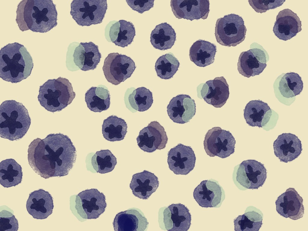 Blueberries with a cream background